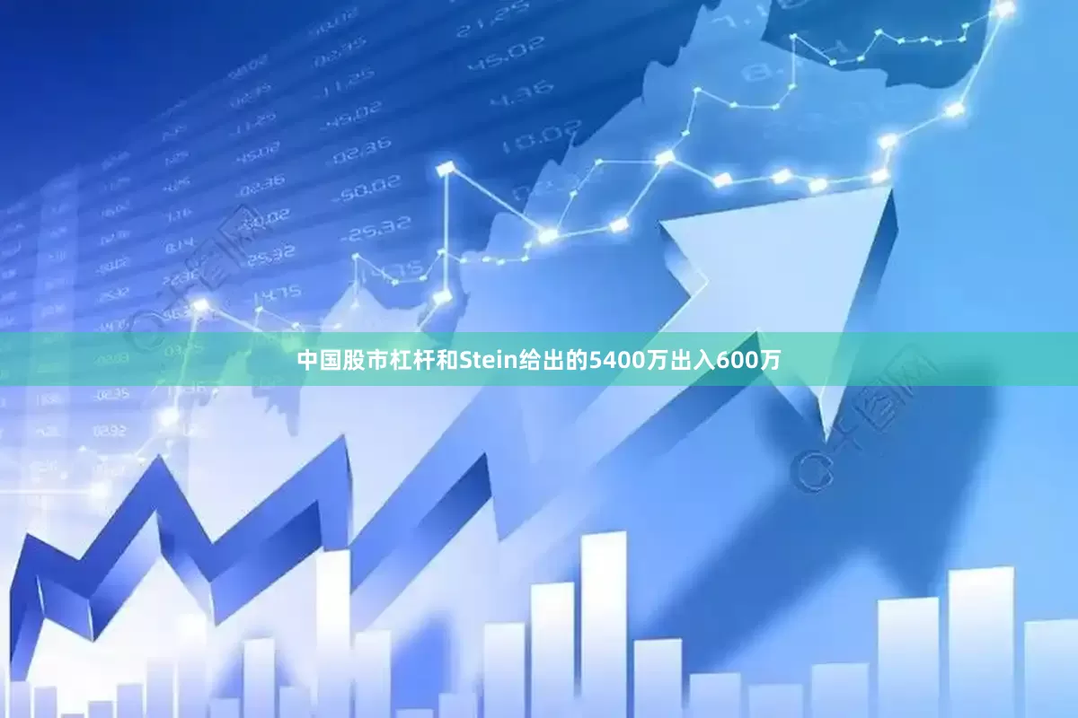 中国股市杠杆和Stein给出的5400万出入600万