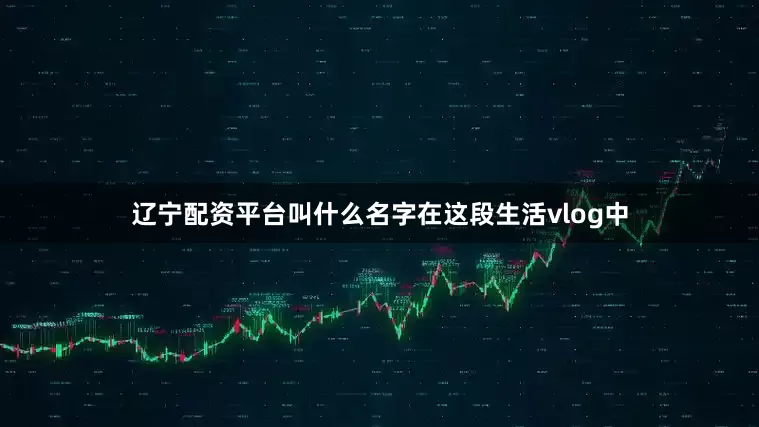 辽宁配资平台叫什么名字在这段生活vlog中