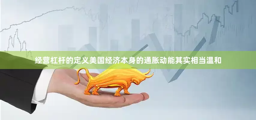 经营杠杆的定义美国经济本身的通胀动能其实相当温和